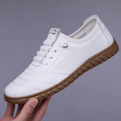 https://ae-pic-a1.aliexpress-media.com/kf/S02dda63e685949eaad943a6fa83cf3e5D.jpg_500x500.jpg_.webp